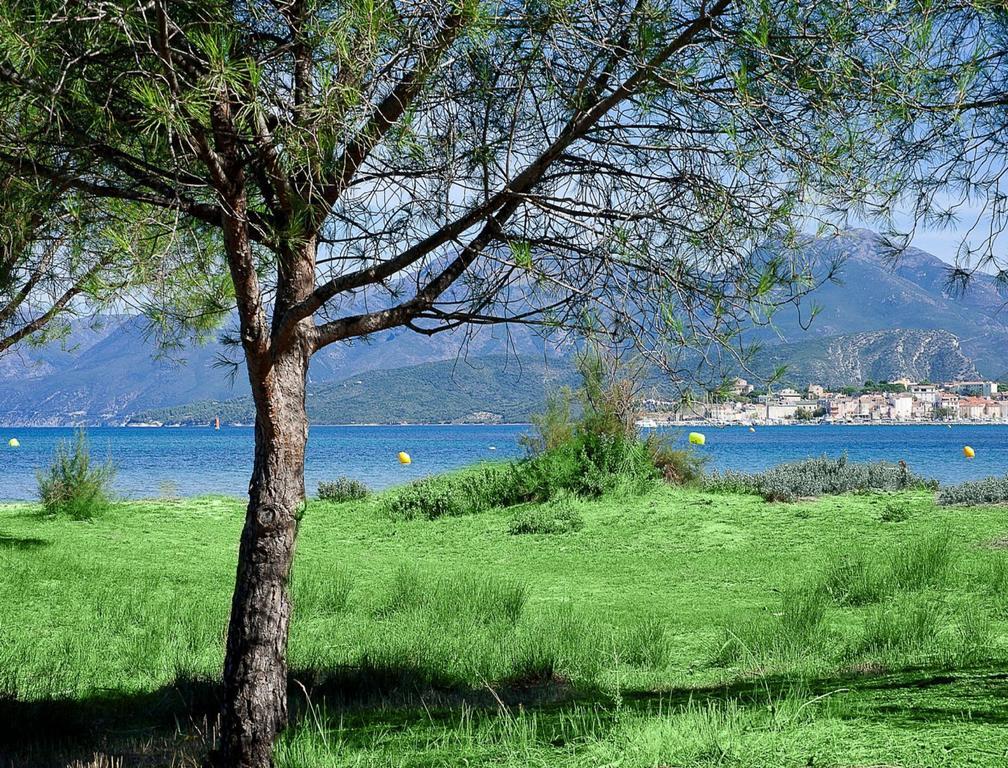 Residence Suarella Saint-Florent  Exterior foto