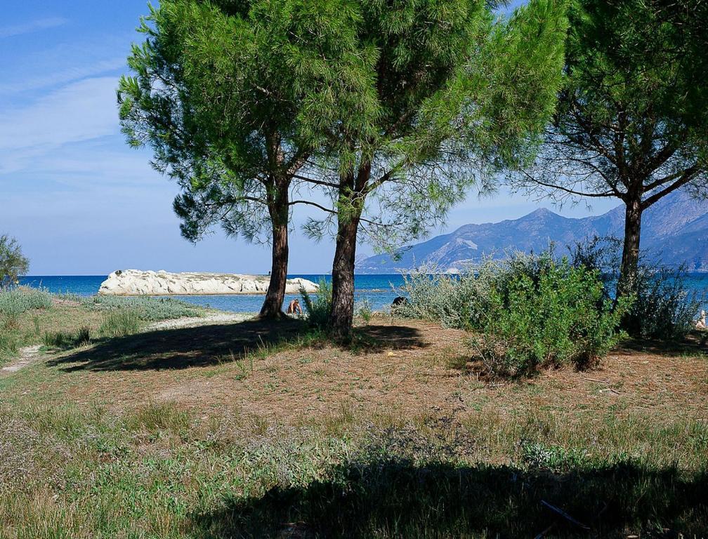 Residence Suarella Saint-Florent  Exterior foto